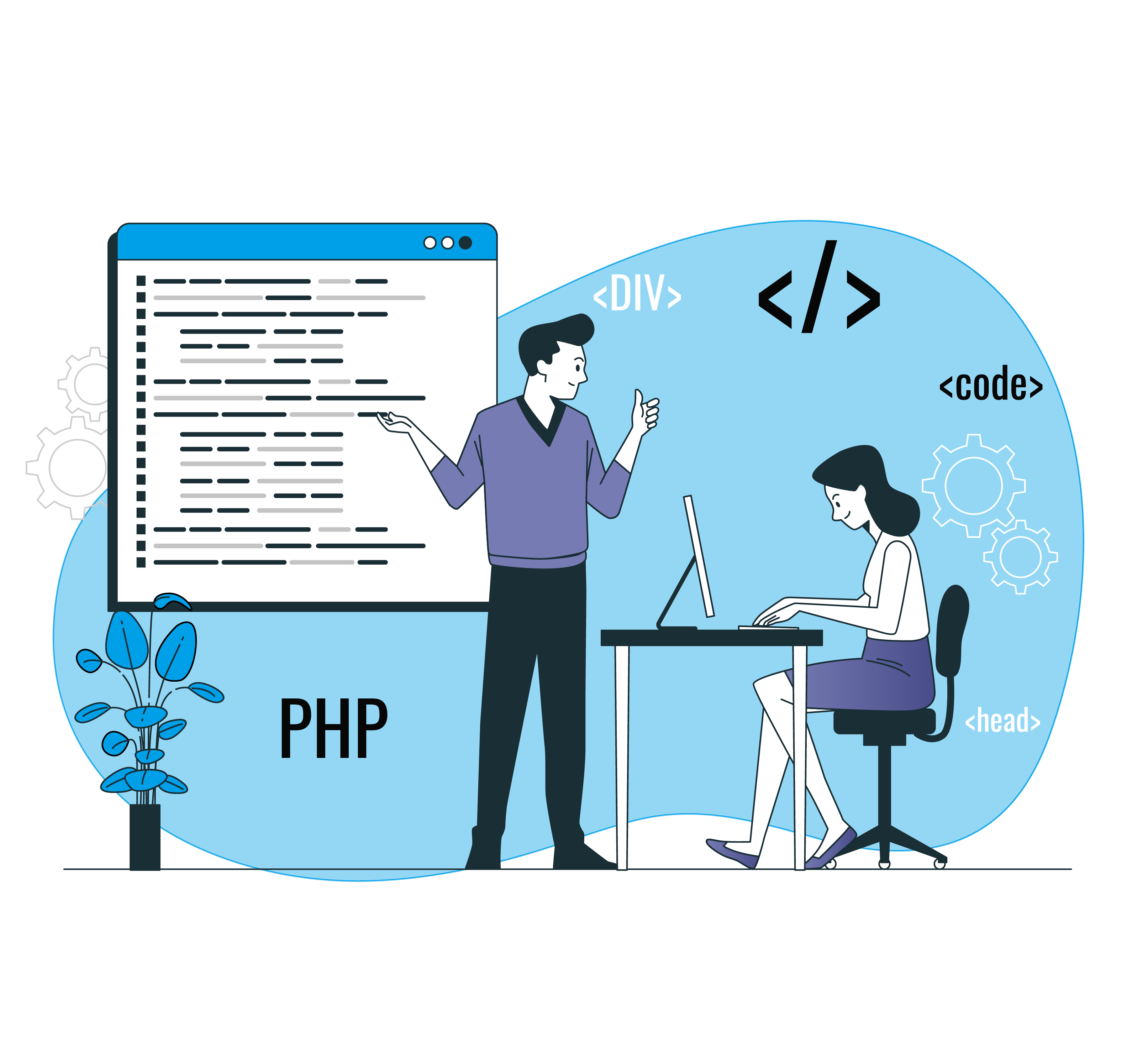 PHP Development Company