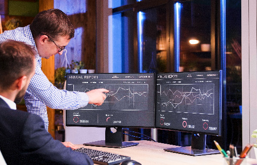 Enterprise Software Consulting