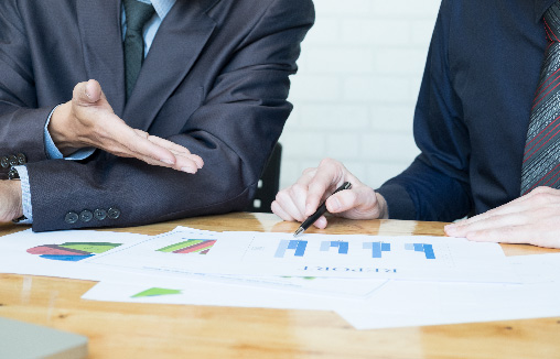 Software Management
                        Consulting